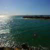 SYFW3346