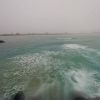 SYFW7768