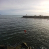 SYFW6710