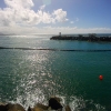 SYFW1362