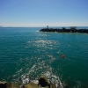SYFW5716