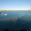 SYFW8632