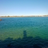 SYFW7480